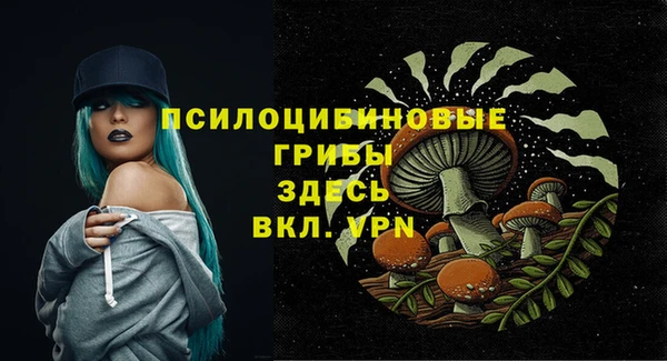 МДМА Осташков