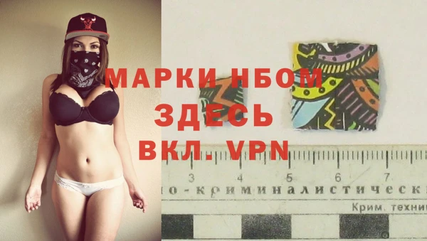 стафф Аркадак