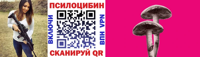 hydra зеркало  где продают наркотики  маркетплейс какой сайт  Галлюциногенные грибы мухоморы  Пыталово 